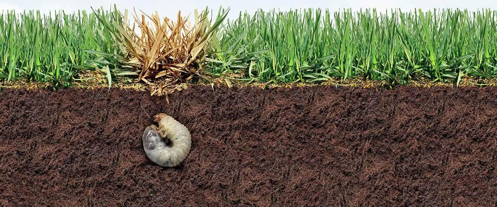 Grub Control Service