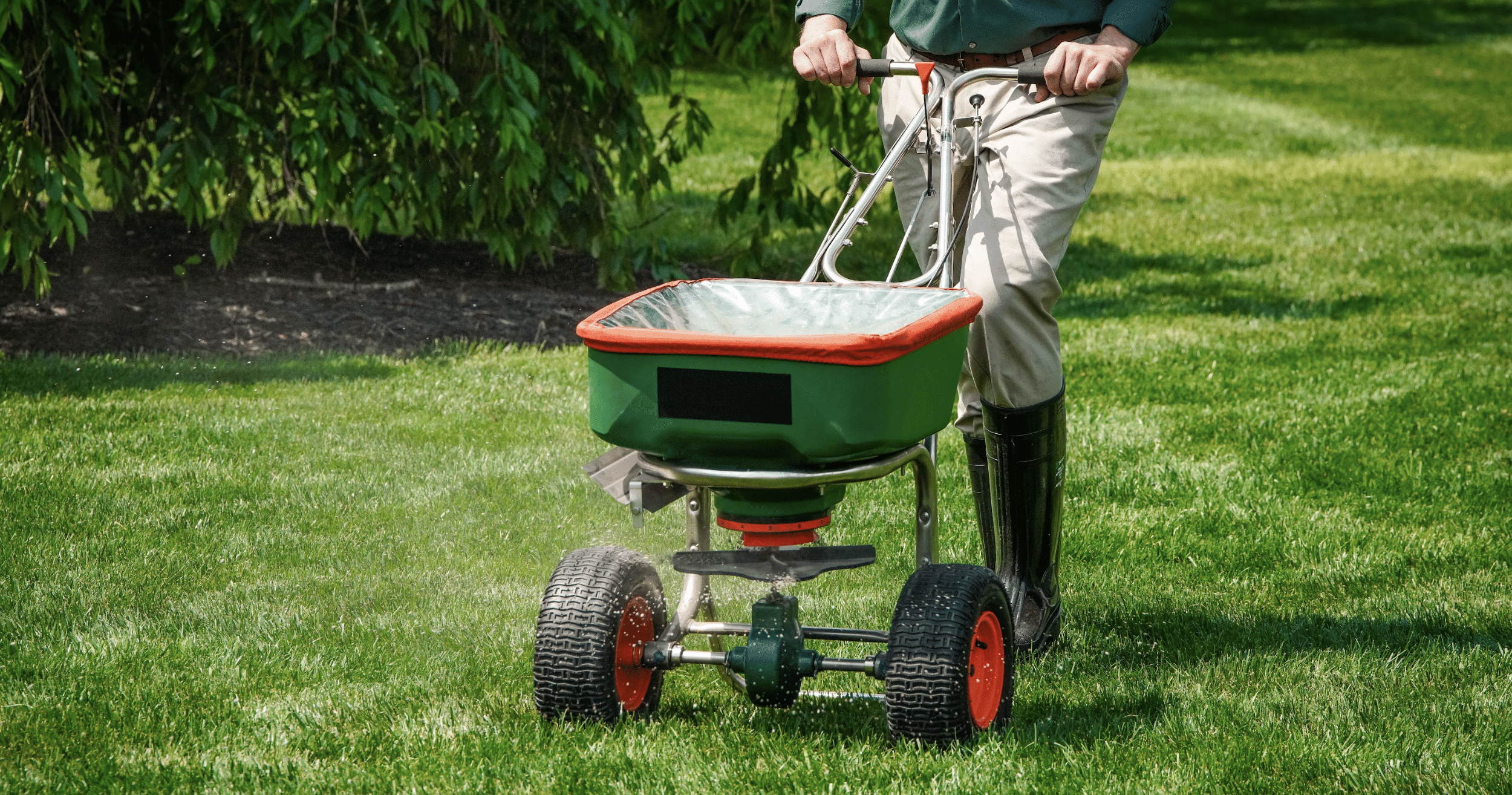 Green Envy Lawn Care Services