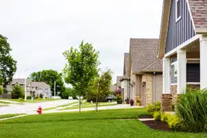 Lawn maintenance