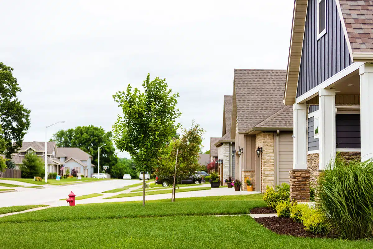 Groups of Homes with Healthy Green Yards on a Sunny Summer Day Lawn maintenance