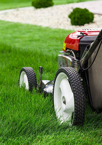 Important lawn watering and mowing tips
